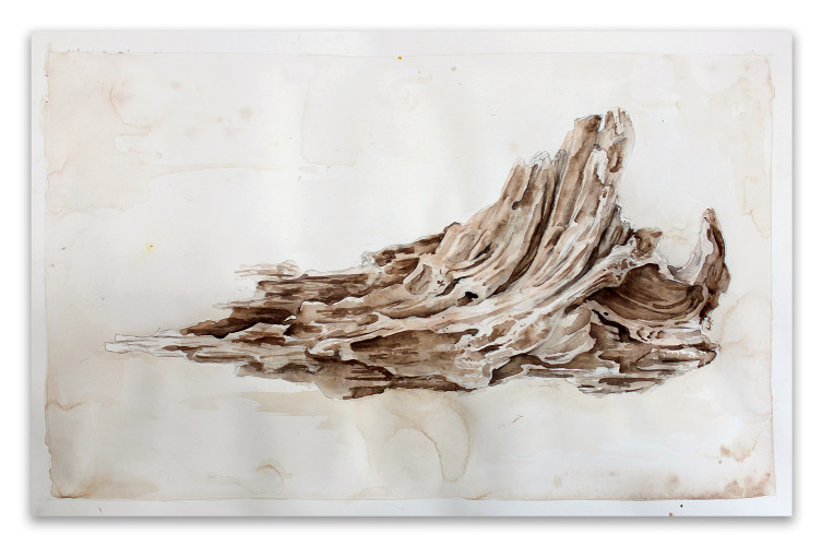 driftwood2016pjkalembaweb