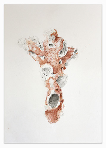 Corral Fragment. 2016 Pj Kalemba