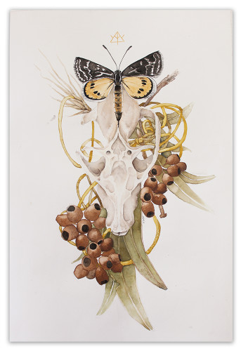 All The Pretty Little Things (Flying Fox Totem) 2016 Pj Kalemba