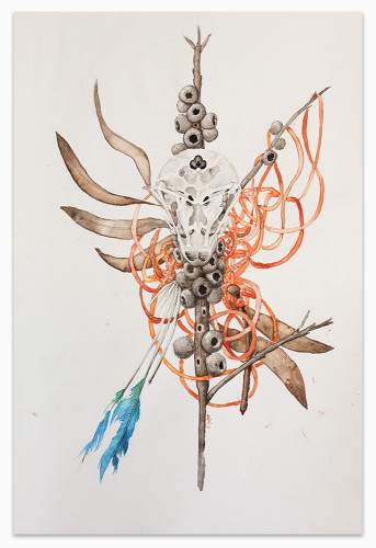 Orange Bellied Parrot Totem 2016 pjkalemba