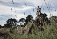 Assemblage Theory#1; Circling the Compass. 2020