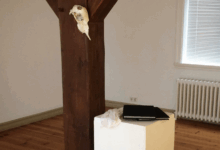 Icelandic Notes for the Weltgeist, 2018